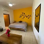 Ximena Studios