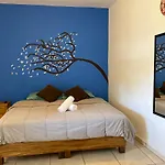 Ximena Studios