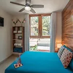 Casa Arbol - Ceiba