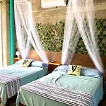 Hostal Tortuga