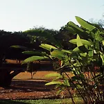 Teepee At Raiz