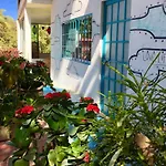 Surf N Roll House