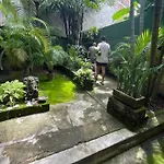 Akoma Sayulita