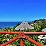 The Phoenix Sayulita