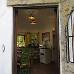 Sayulita Suites