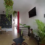 Lush Sayulita