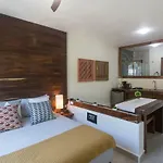 Casa Árbol - Cedro