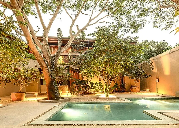 Welcome To Paradise - Luxurious Studio Oasis \