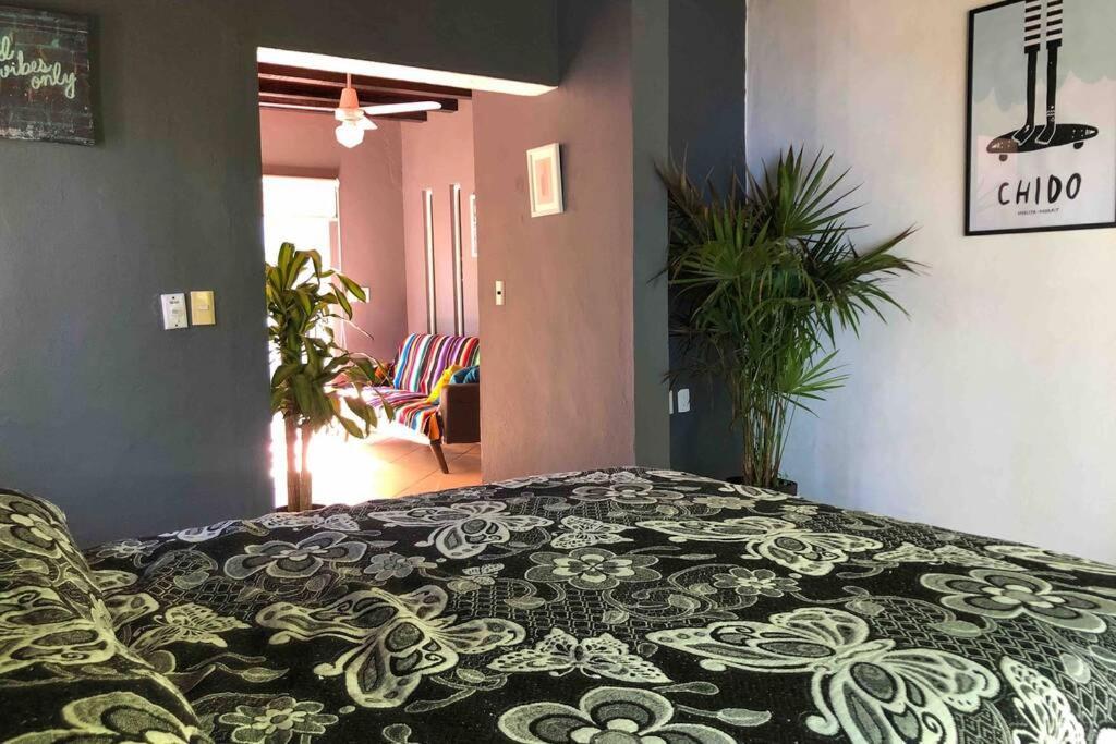Apartment Quetzal # *