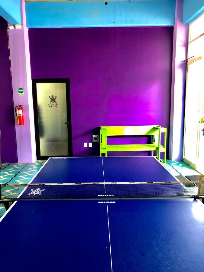 Hostel Tortuga
