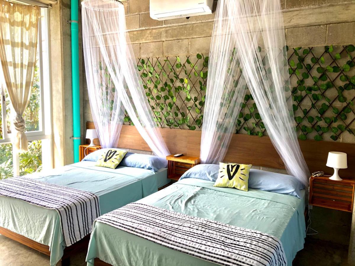 Hostel Tortuga