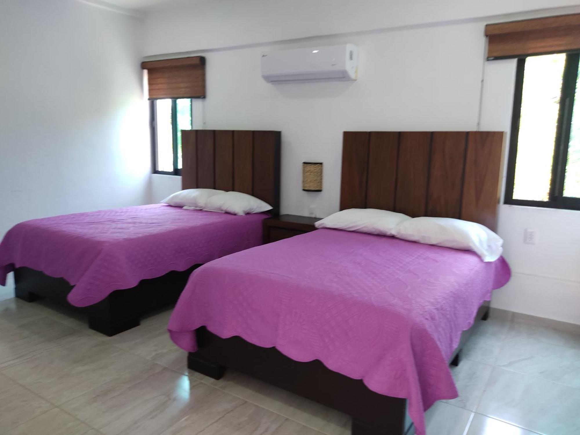 D Alba Hotel