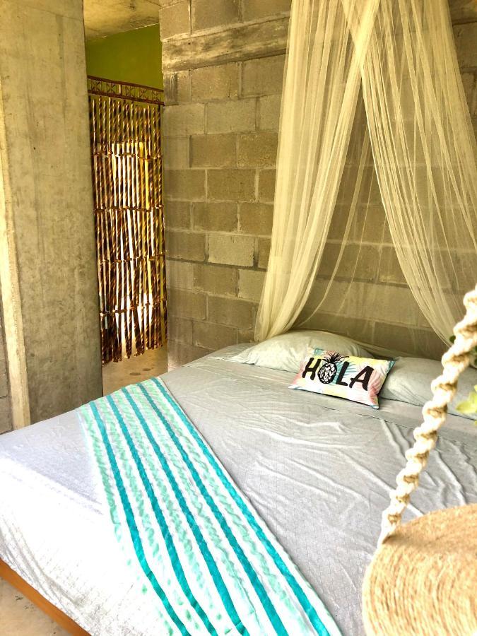 Tortuga Hostel