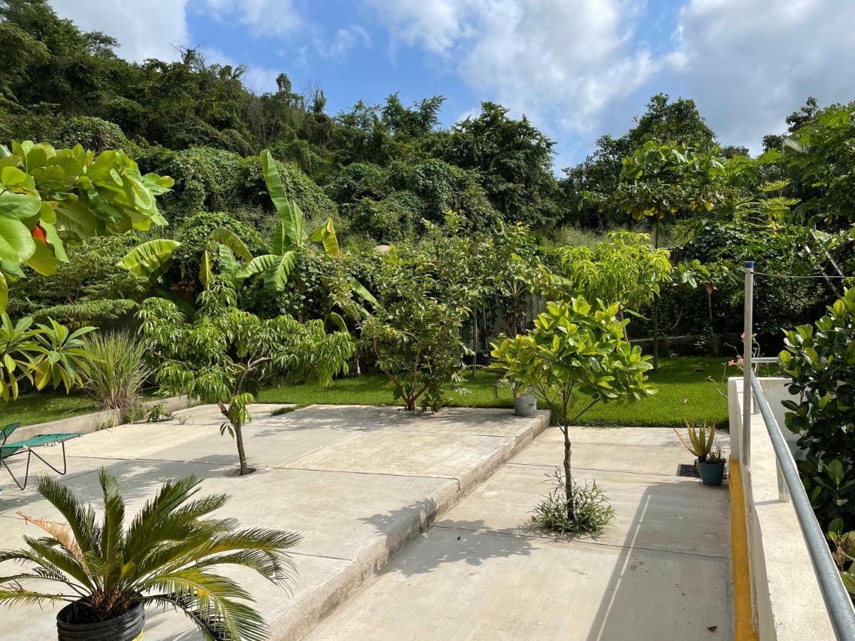 Amanecer Holiday home Sayulita