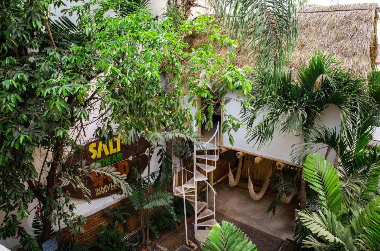 Hostel La Redonda *