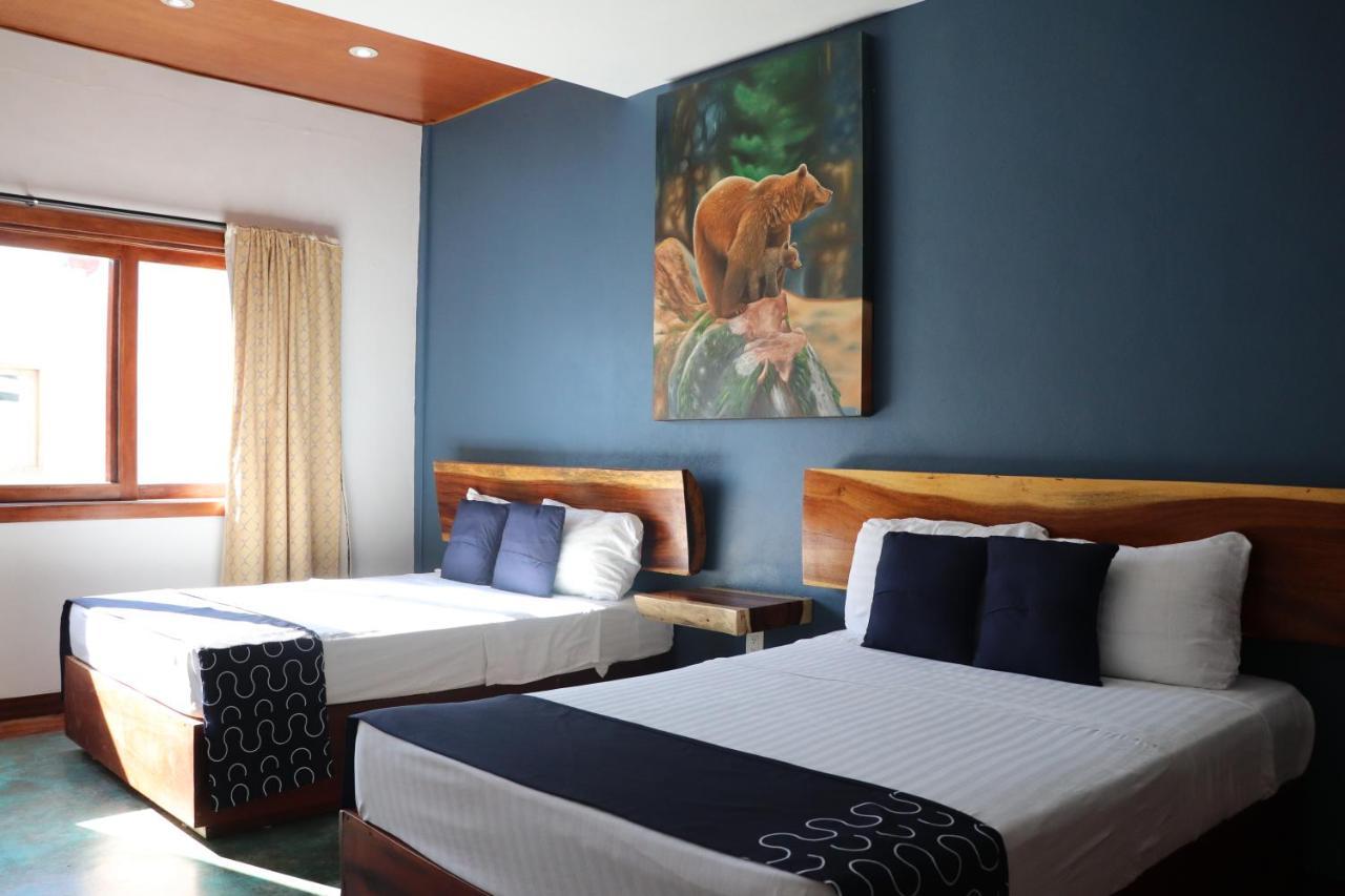 Hotel Hotel Samanu