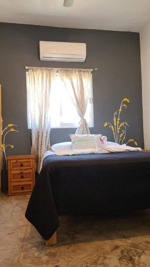 Ximena Apartment