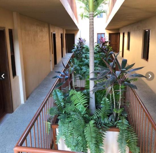 Pacific Beach House Hotel Sayulita