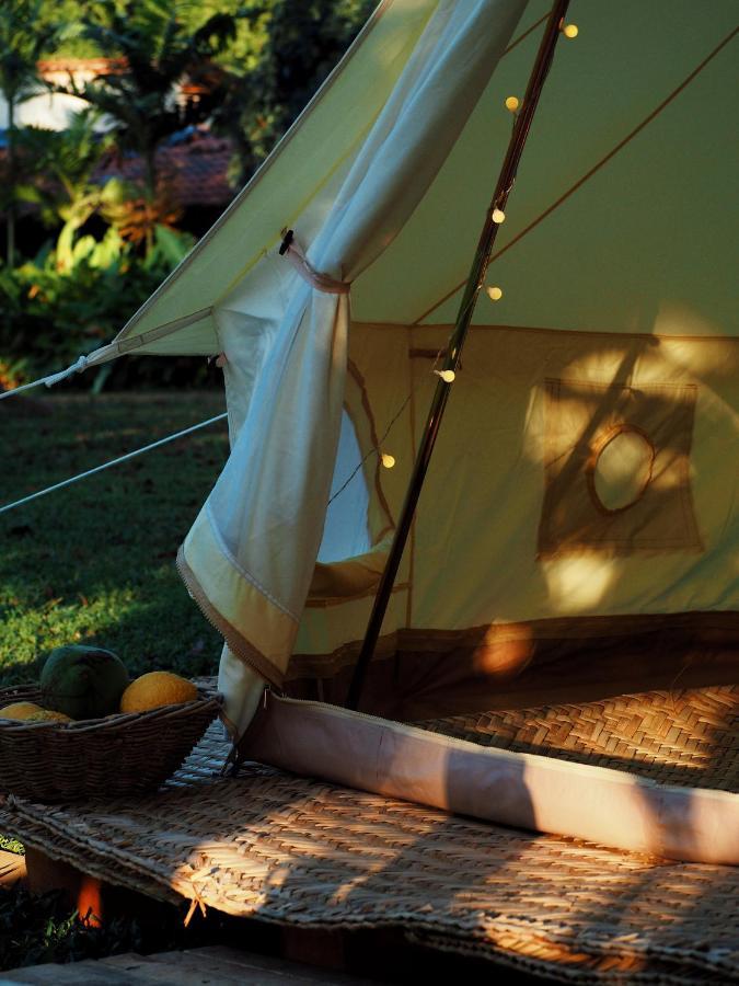 Campo de lujo Teepee At Raiz *