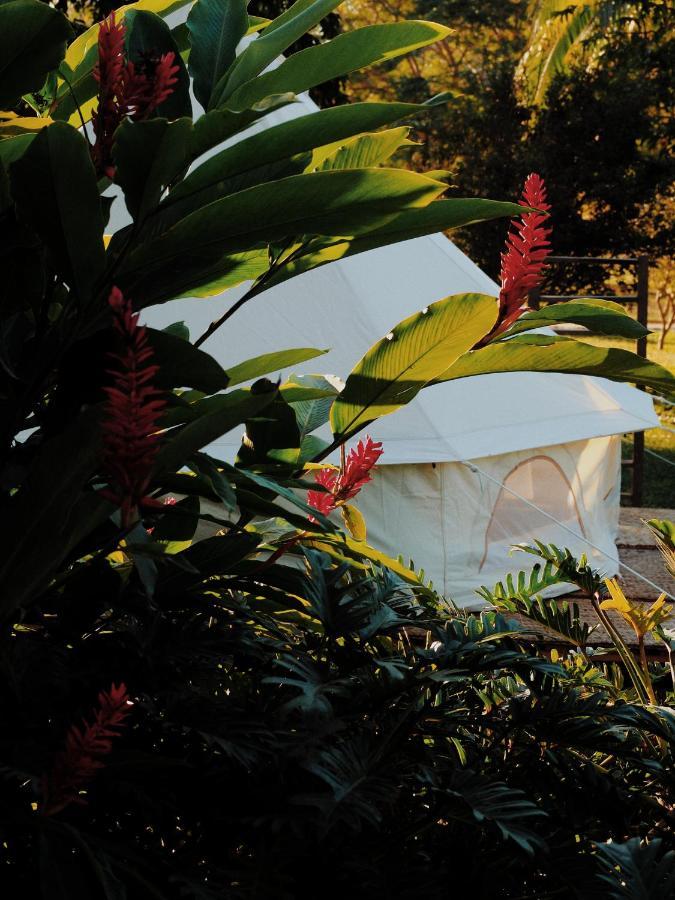 Teepee At Raiz Campo de lujo Sayulita