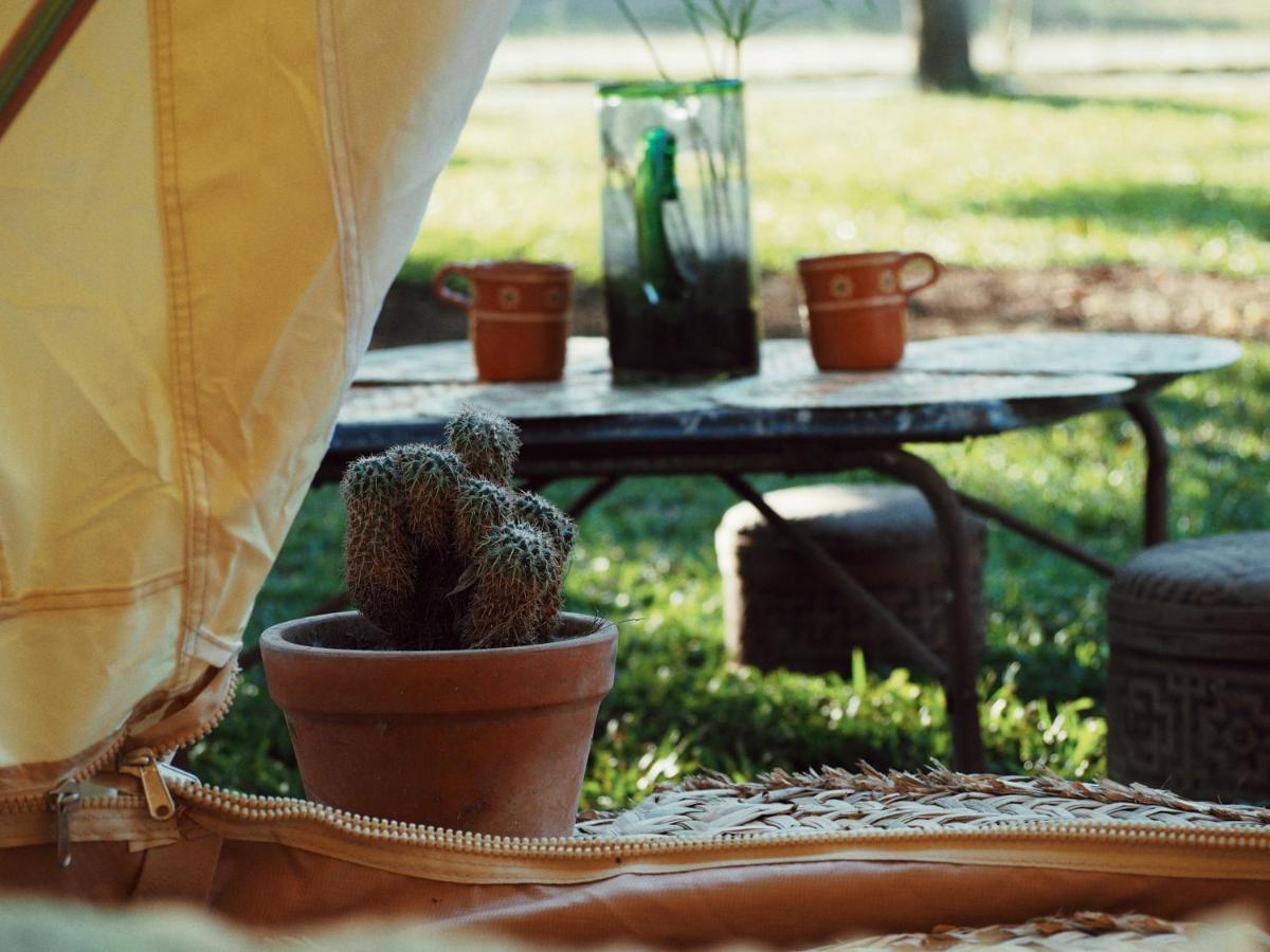 Teepee At Raiz Campo de lujo *
