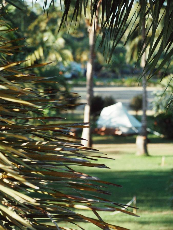 Teepee At Raiz Campo de lujo Sayulita