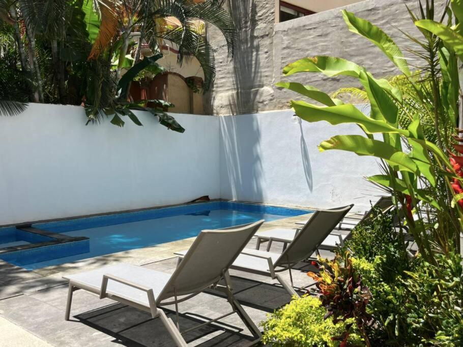 Nierika Lofts Great Location Beautiful Pool Apartment Sayulita