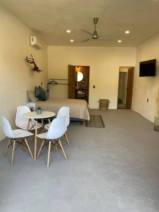 Ocean Studio Sayulita
