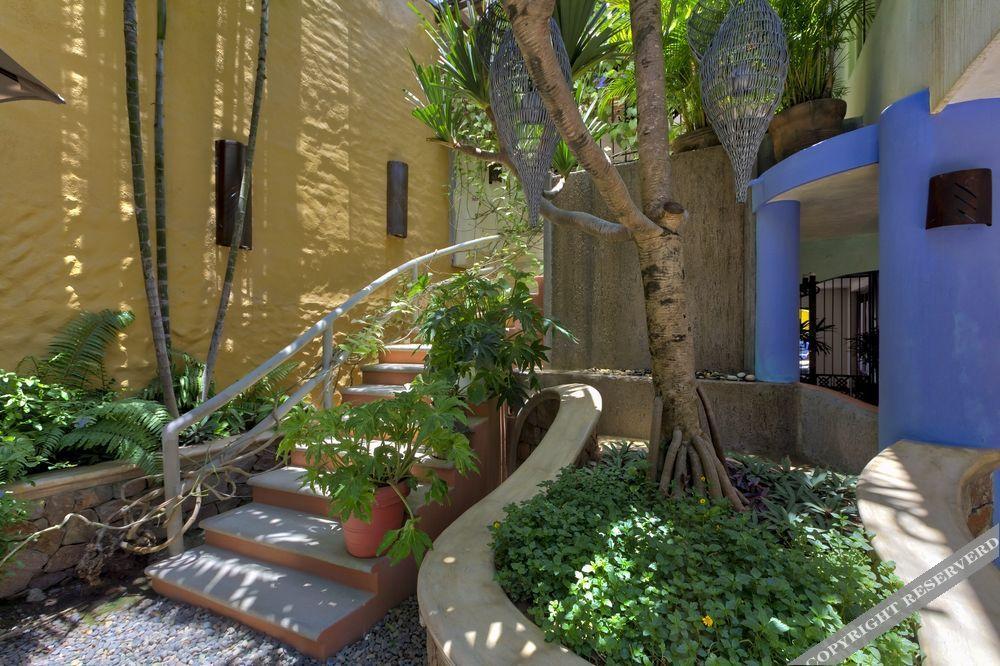 Vogue 5* Sayulita