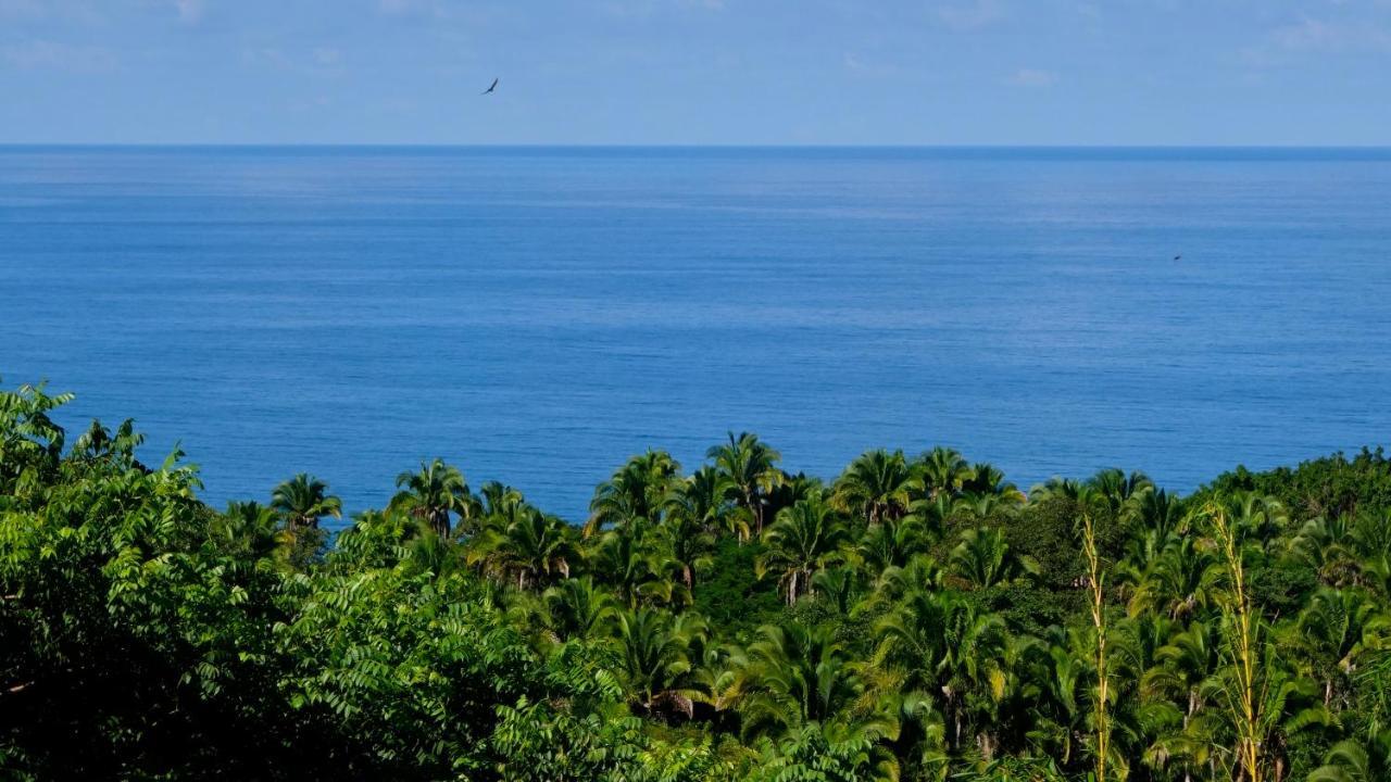Karuna * Sayulita