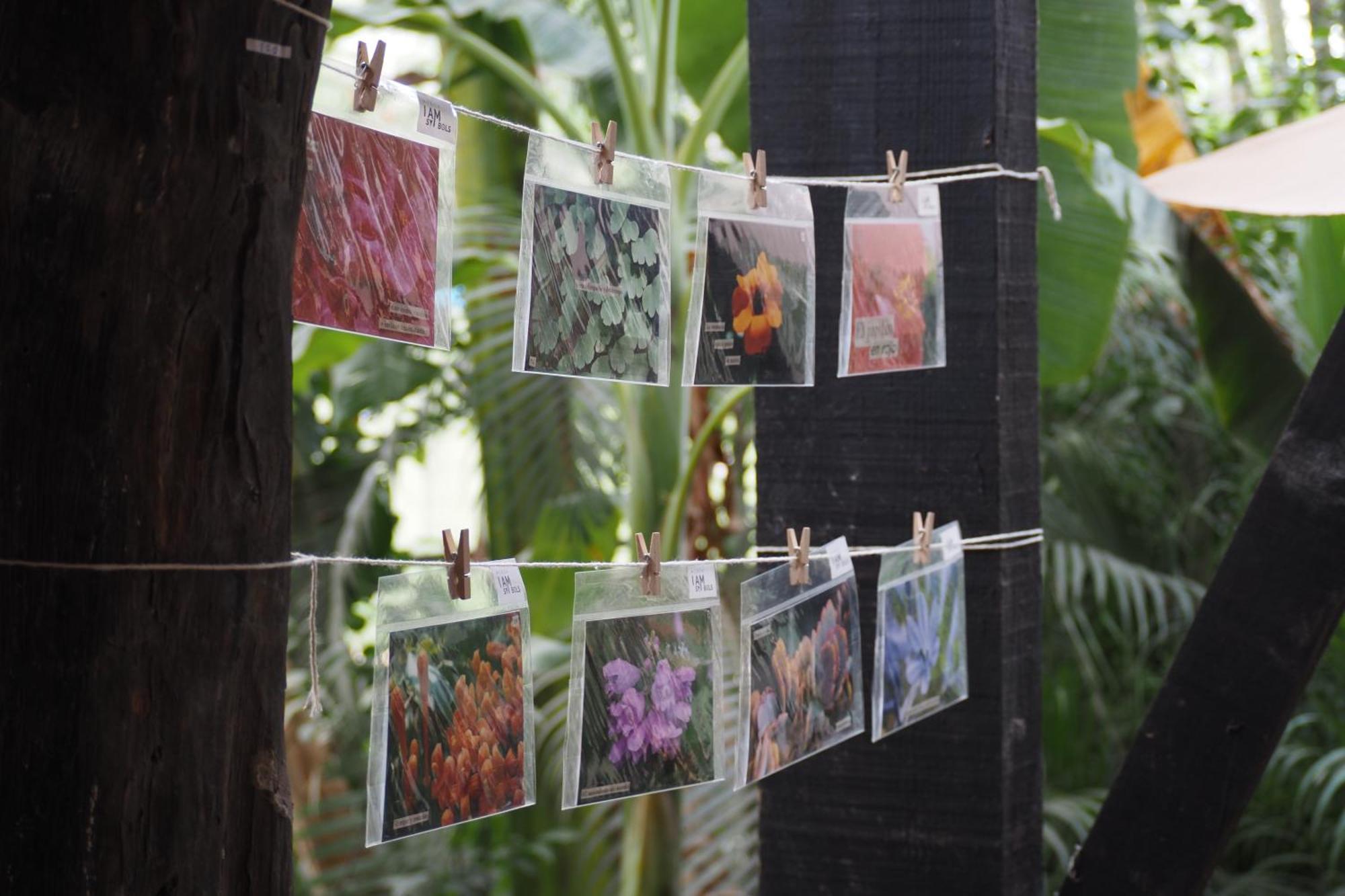Hotel El Refugio De - Health And Wellness House Sayulita