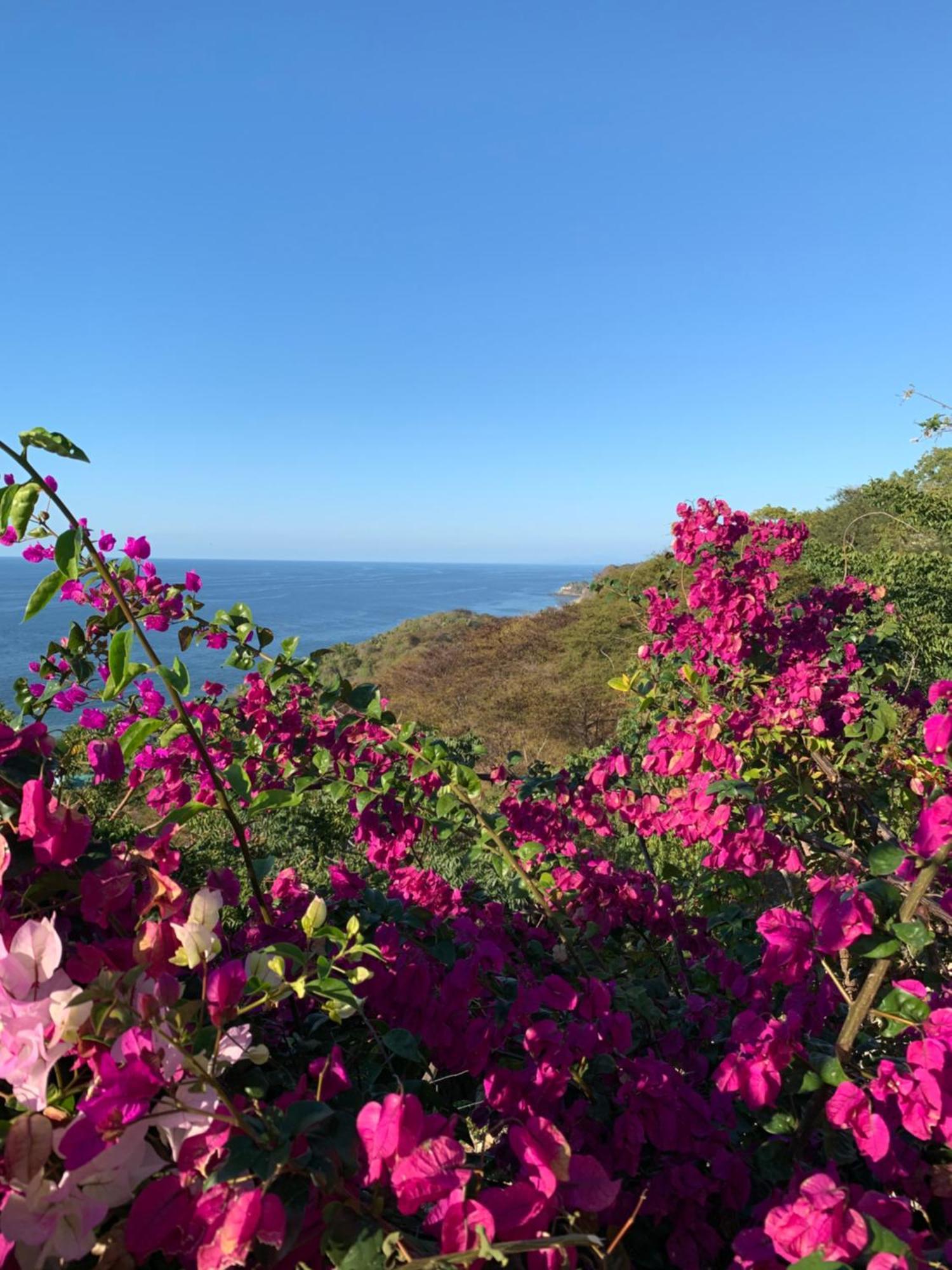 Villa Surya -6 Bdrm, Breathtaking Ocean View, Pool Sayulita