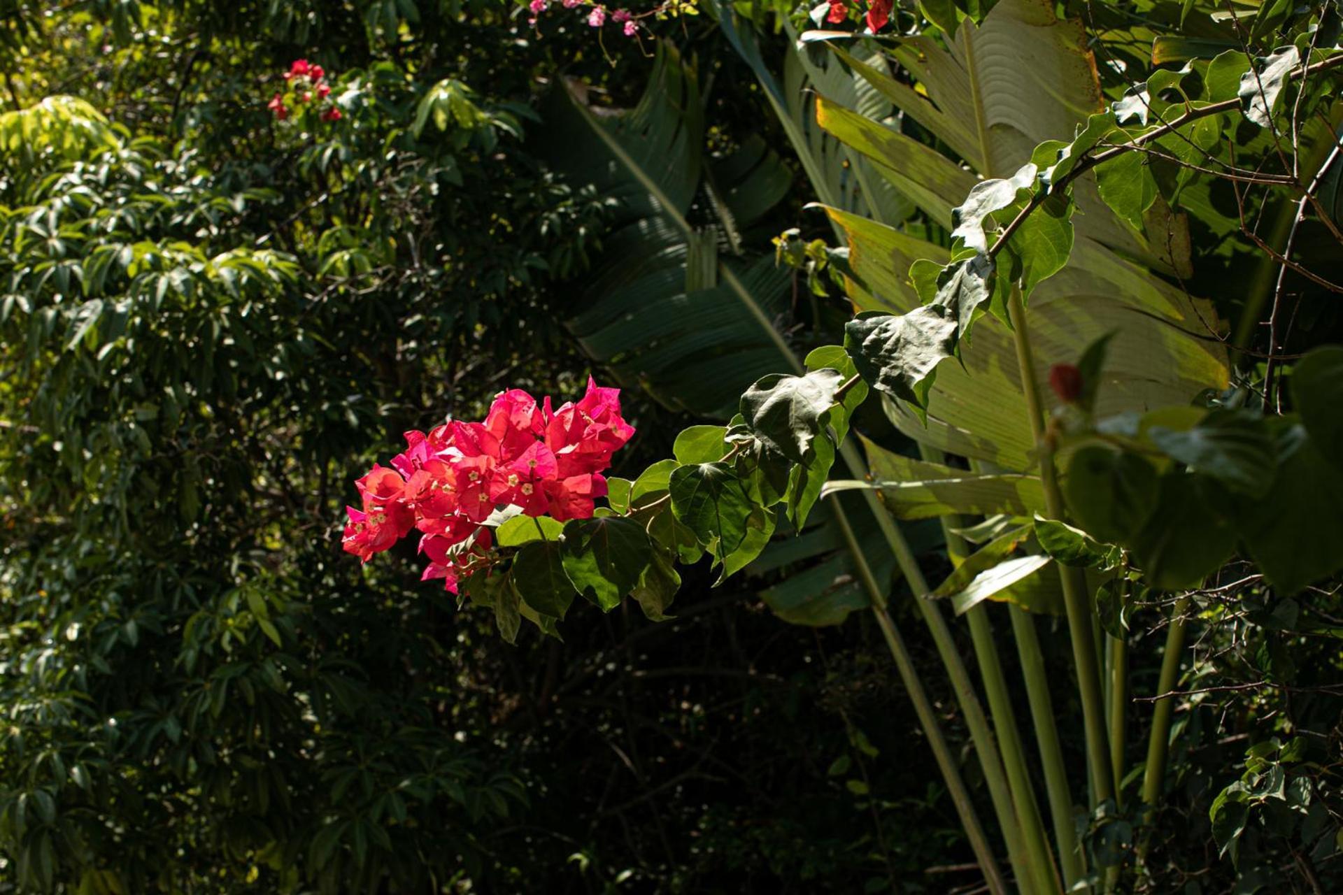 Apartment Romantic Luxury Sayulita