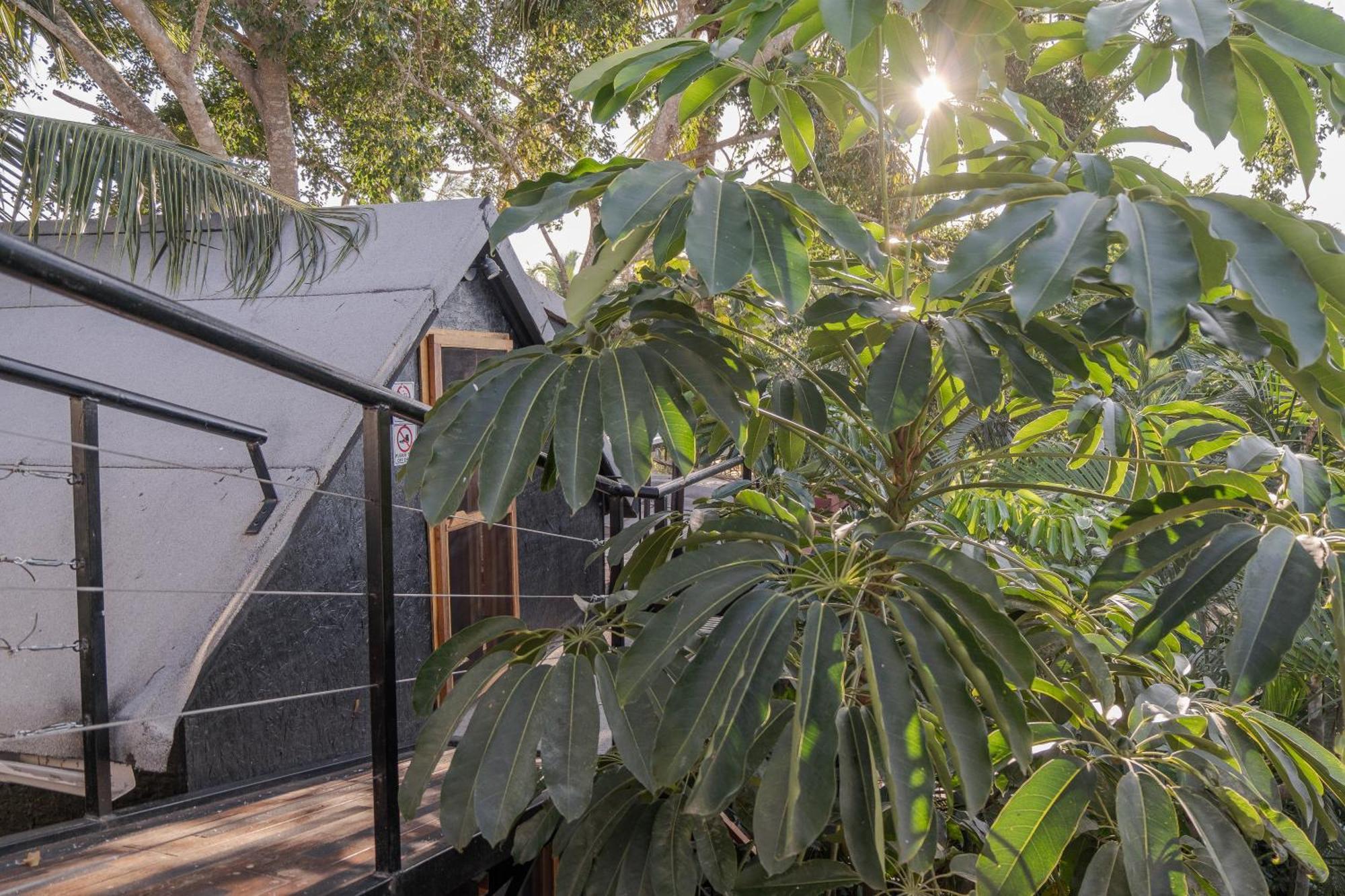 Hotel El Refugio De - Health And Wellness House