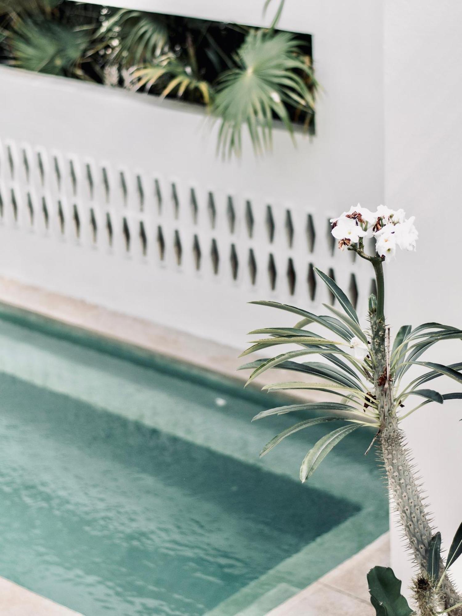 Residencia Tropical Don Bonito Hotel 4*