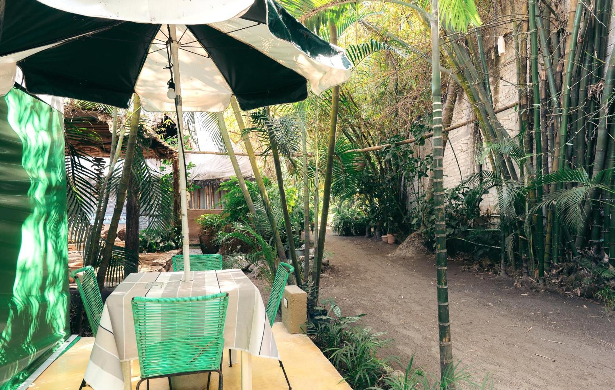 Junto Al Rio & Sayulita