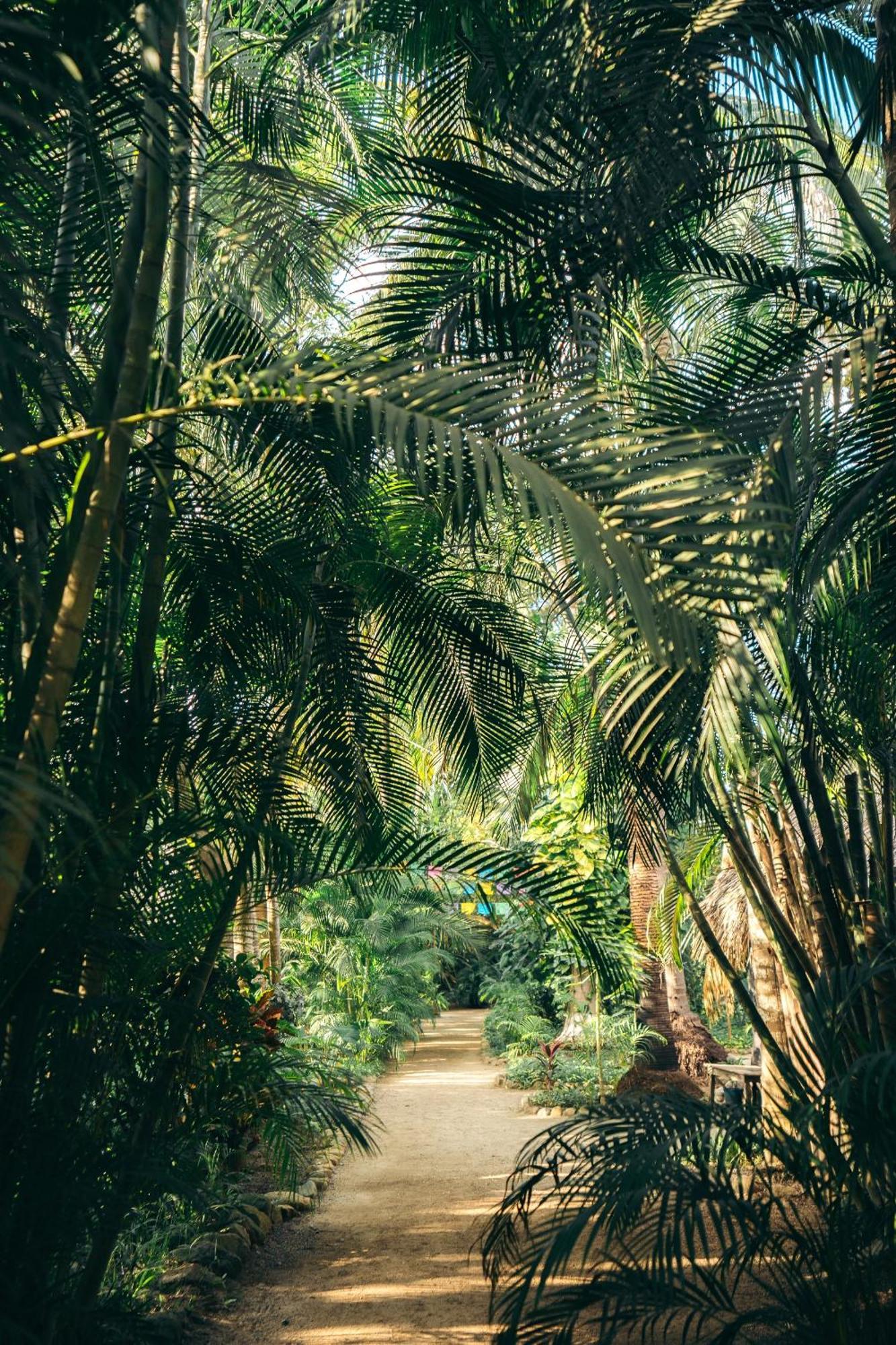Hotel Junto Al Rio & Sayulita