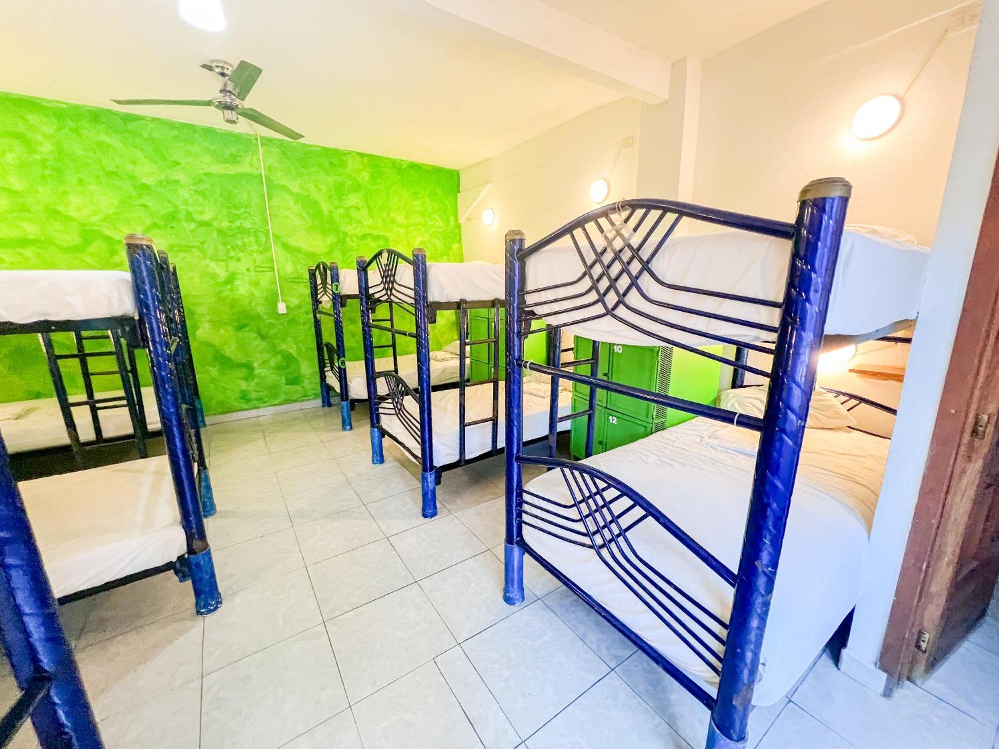 Ith Amazing Surf Hostal *