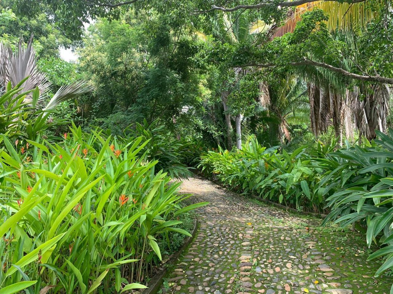 Villa Palapa Ganesh Sayulita