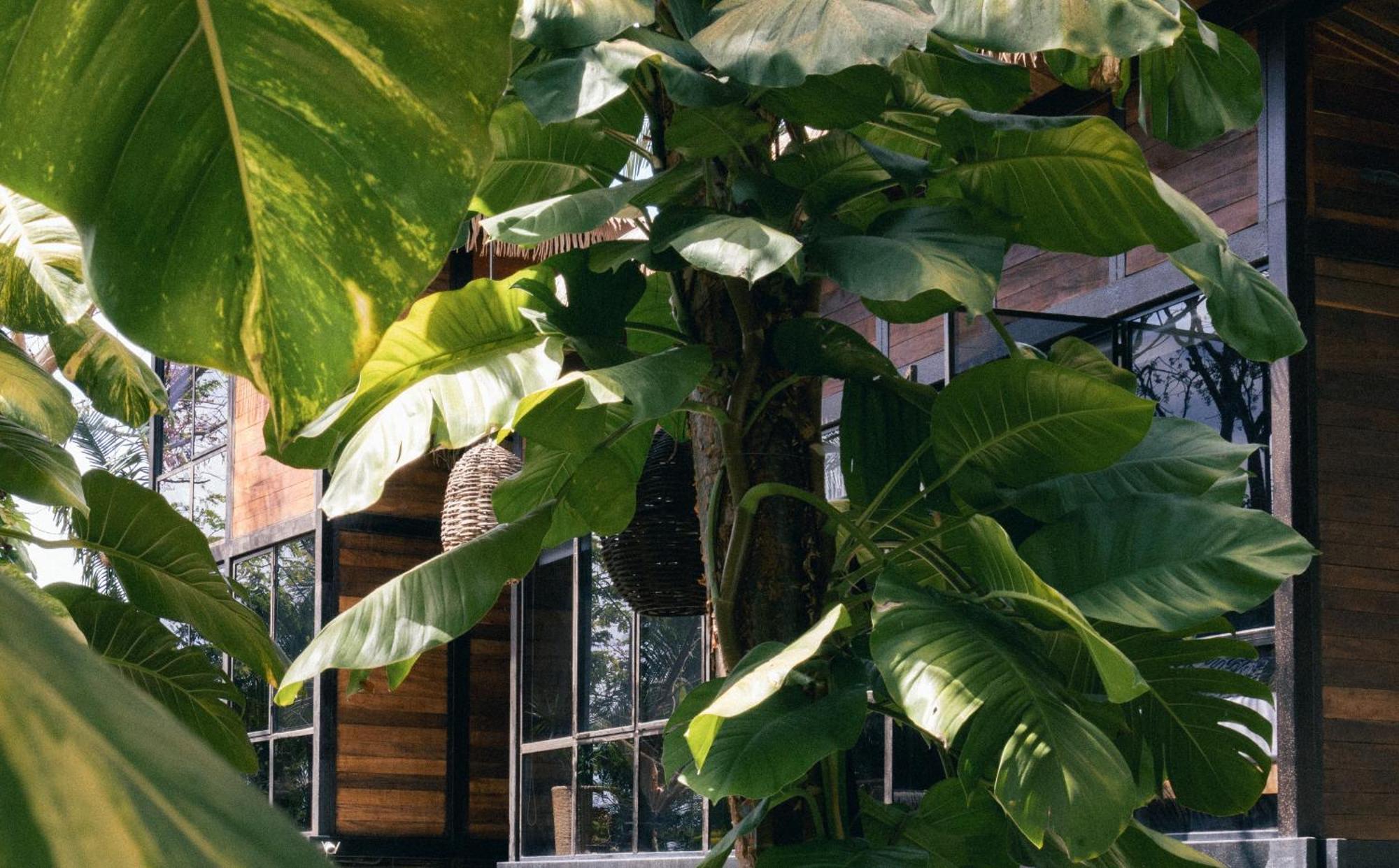 Hotel Casa Selva