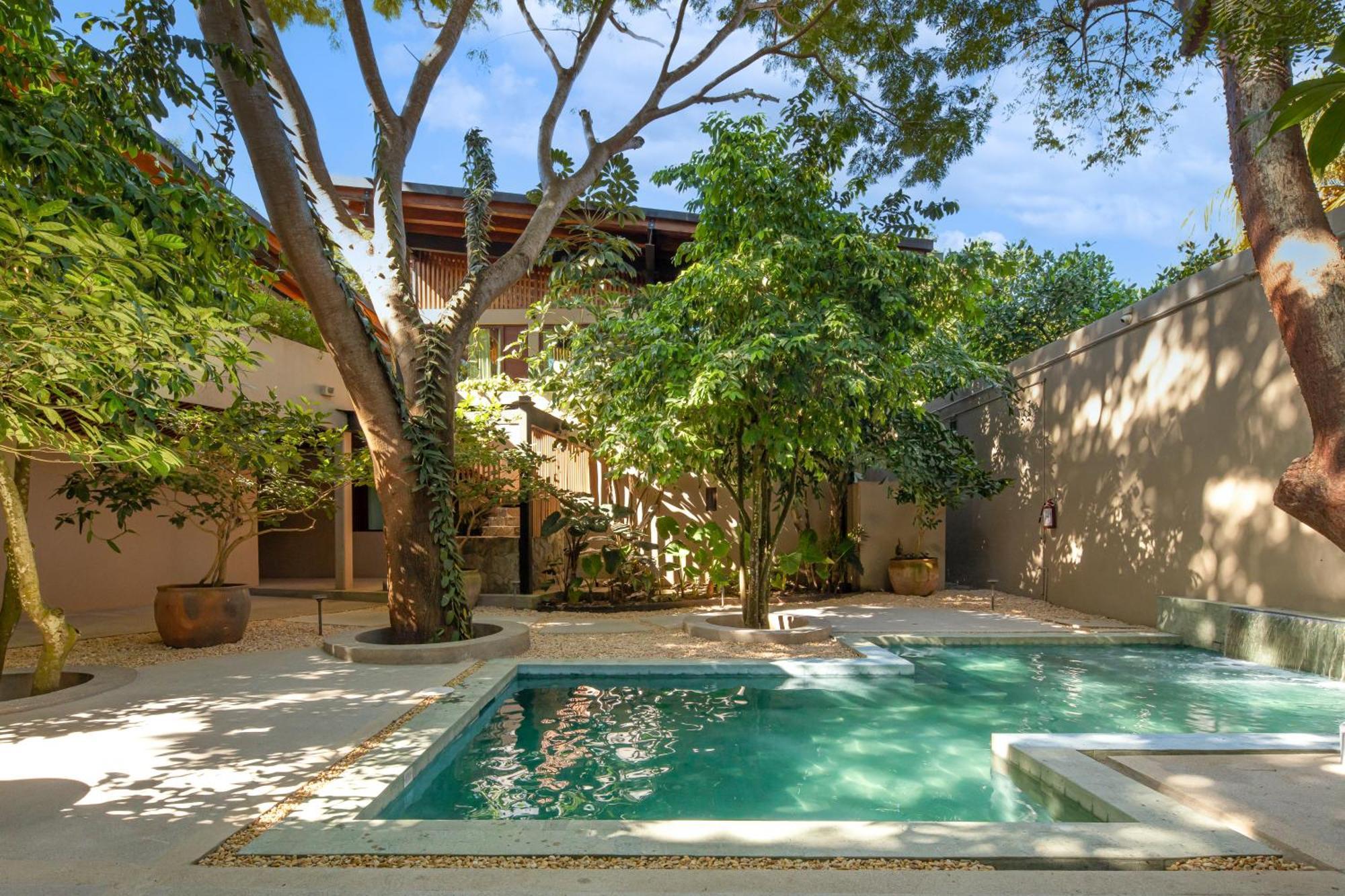 Welcome To Paradise - Luxurious Oasis 