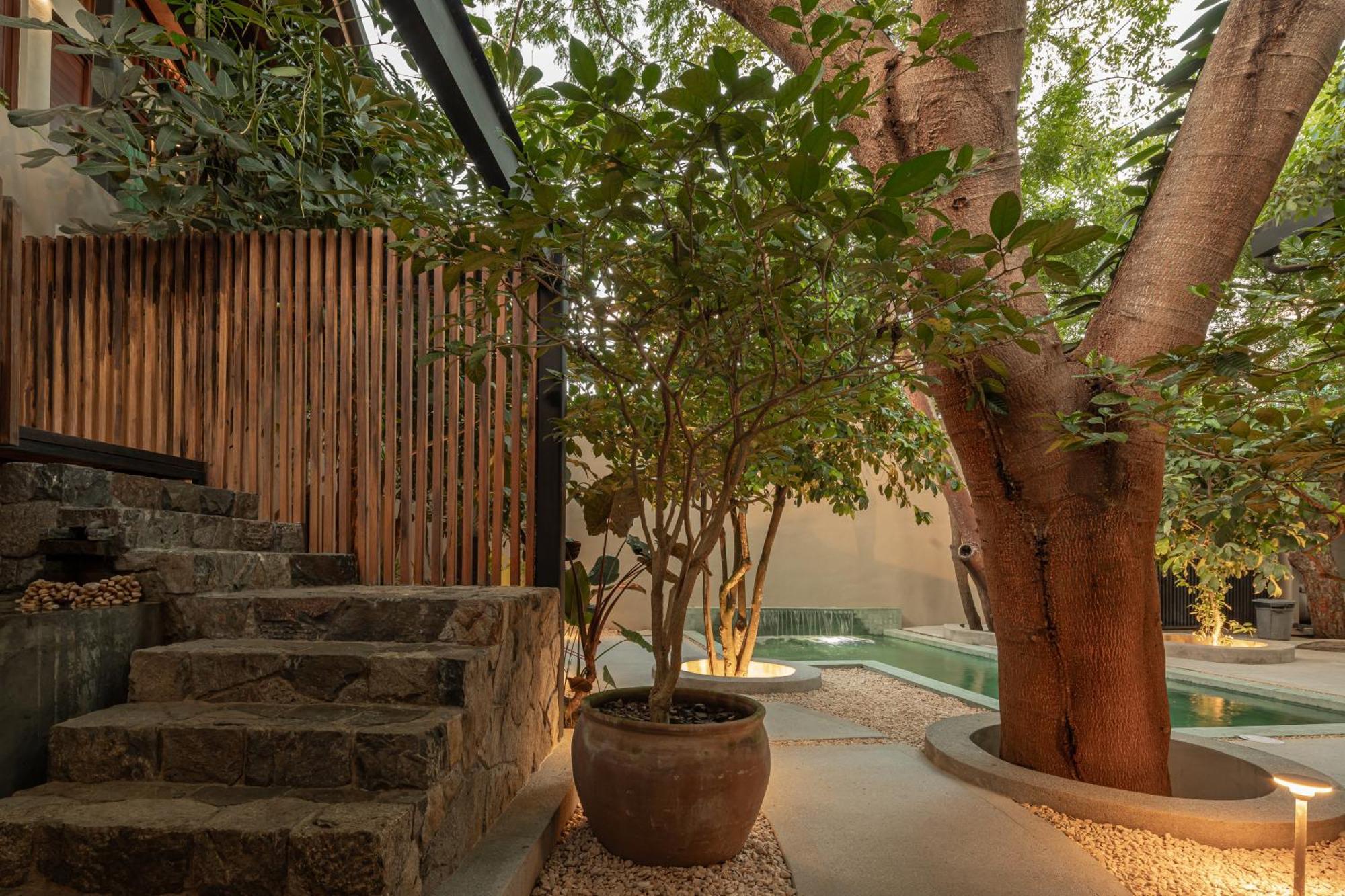 Welcome To Paradise - Luxurious 2 Bedroom Oasis With Pool And Lush Tropical Garden * Sayulita