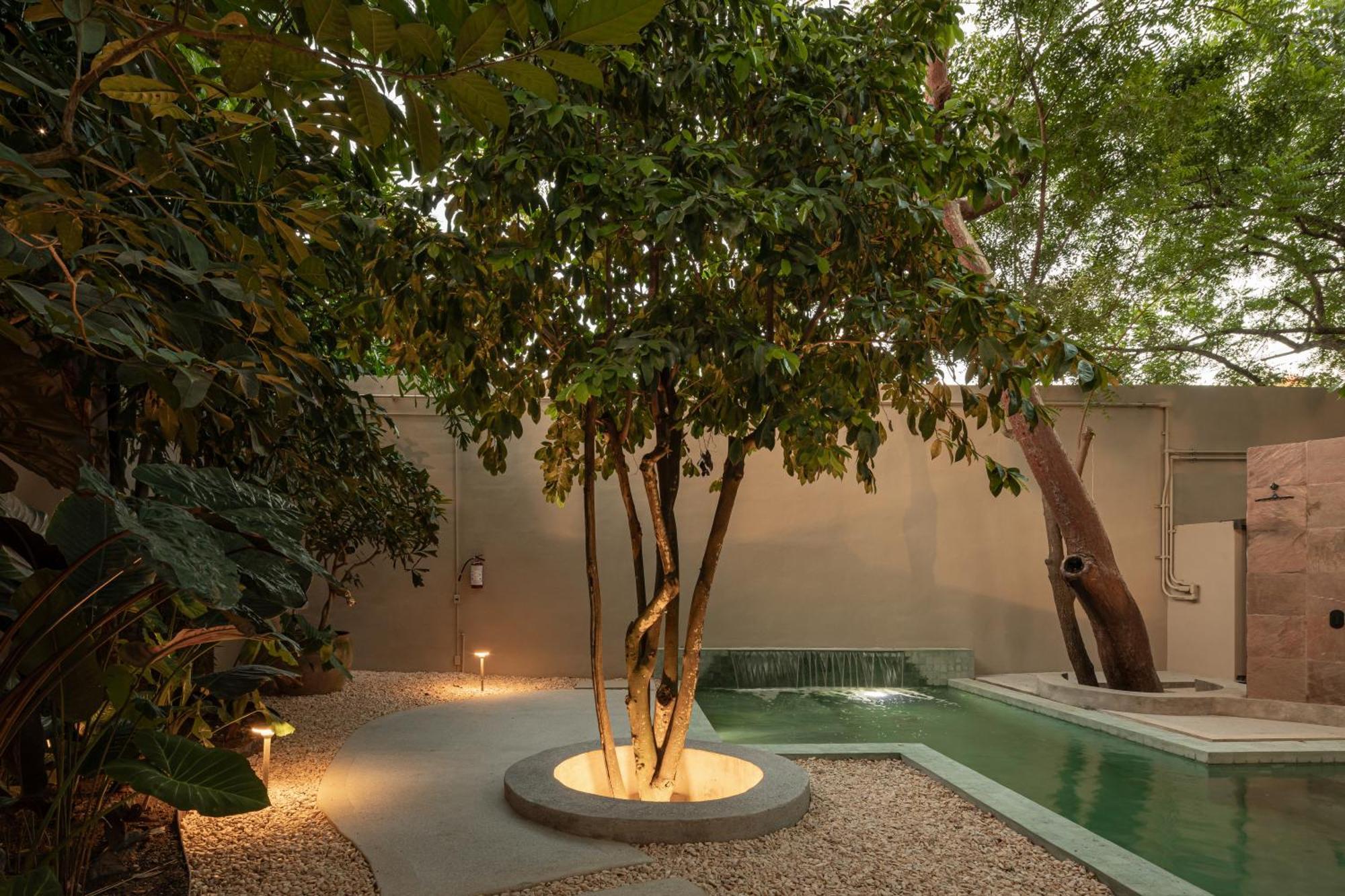Welcome To Paradise - Luxurious 2 Bedroom Oasis With Pool And Lush Tropical Garden Villa *
