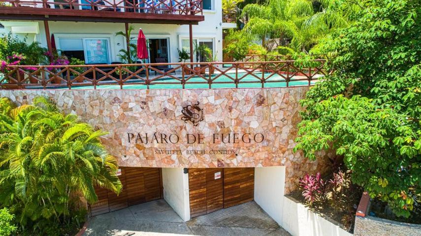 Dreamhaus Pajaro De Fuego *