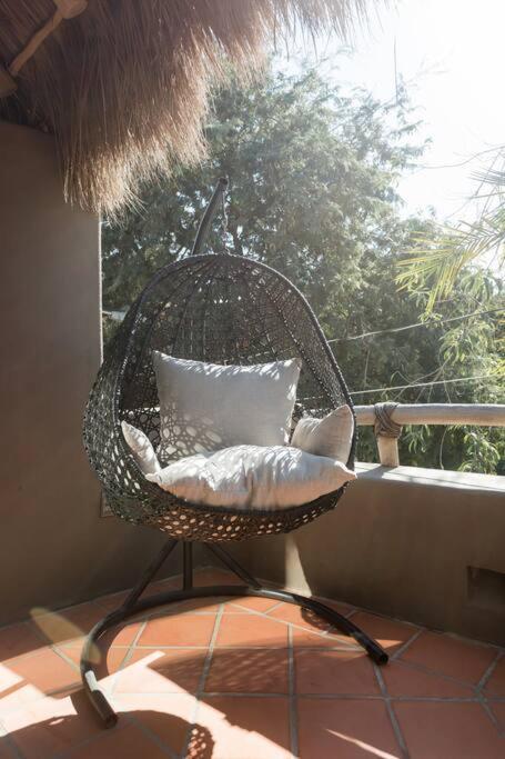 Vargas * Sayulita