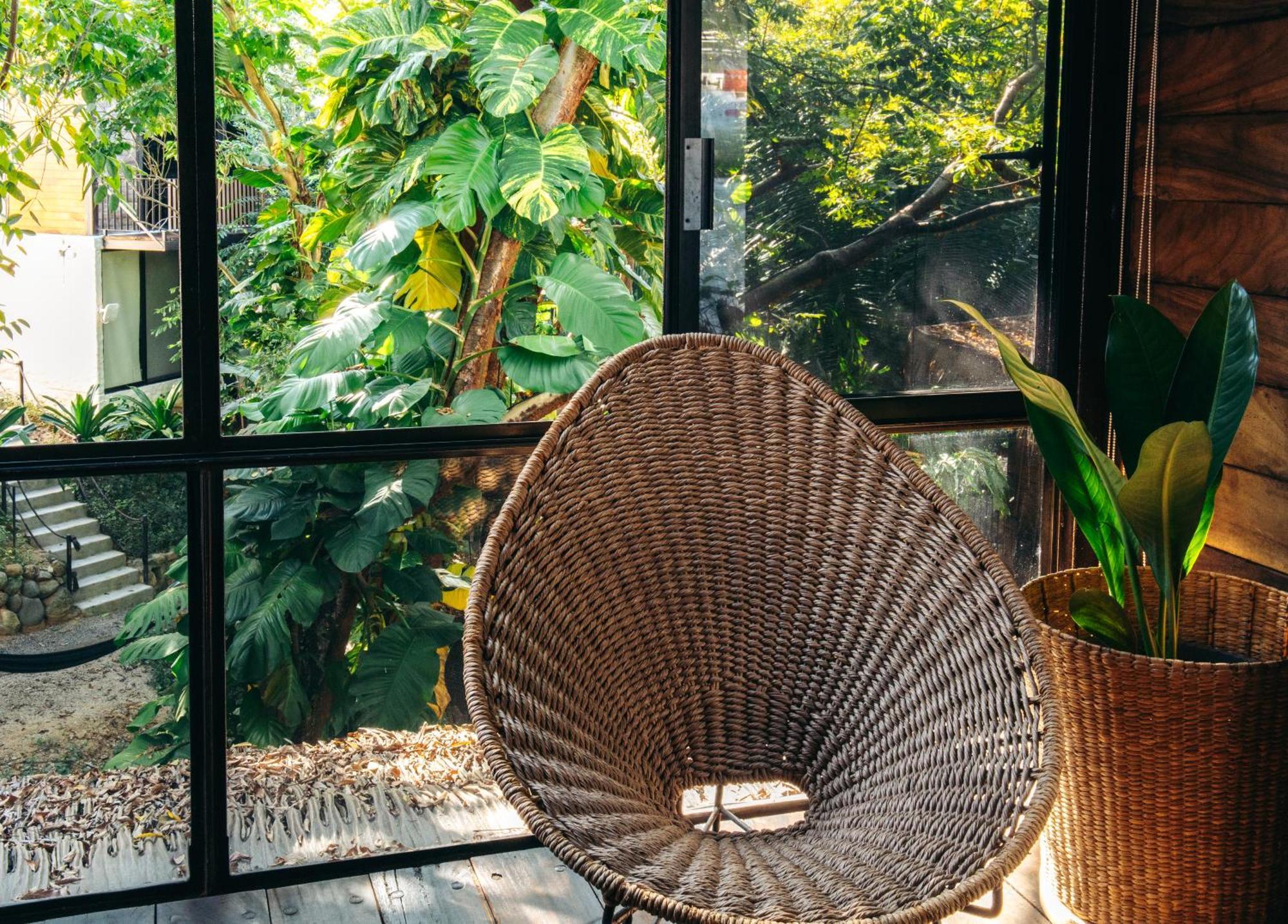 Casa Selva * Sayulita