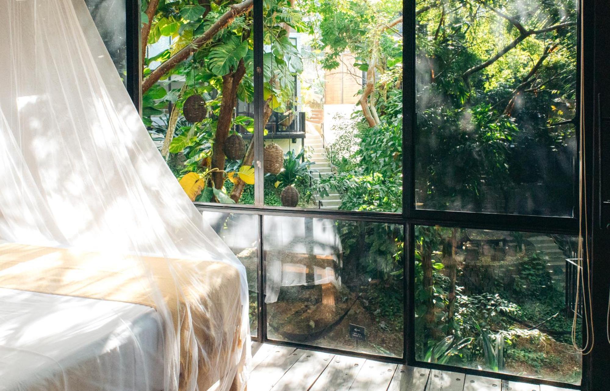 Casa Selva * Sayulita