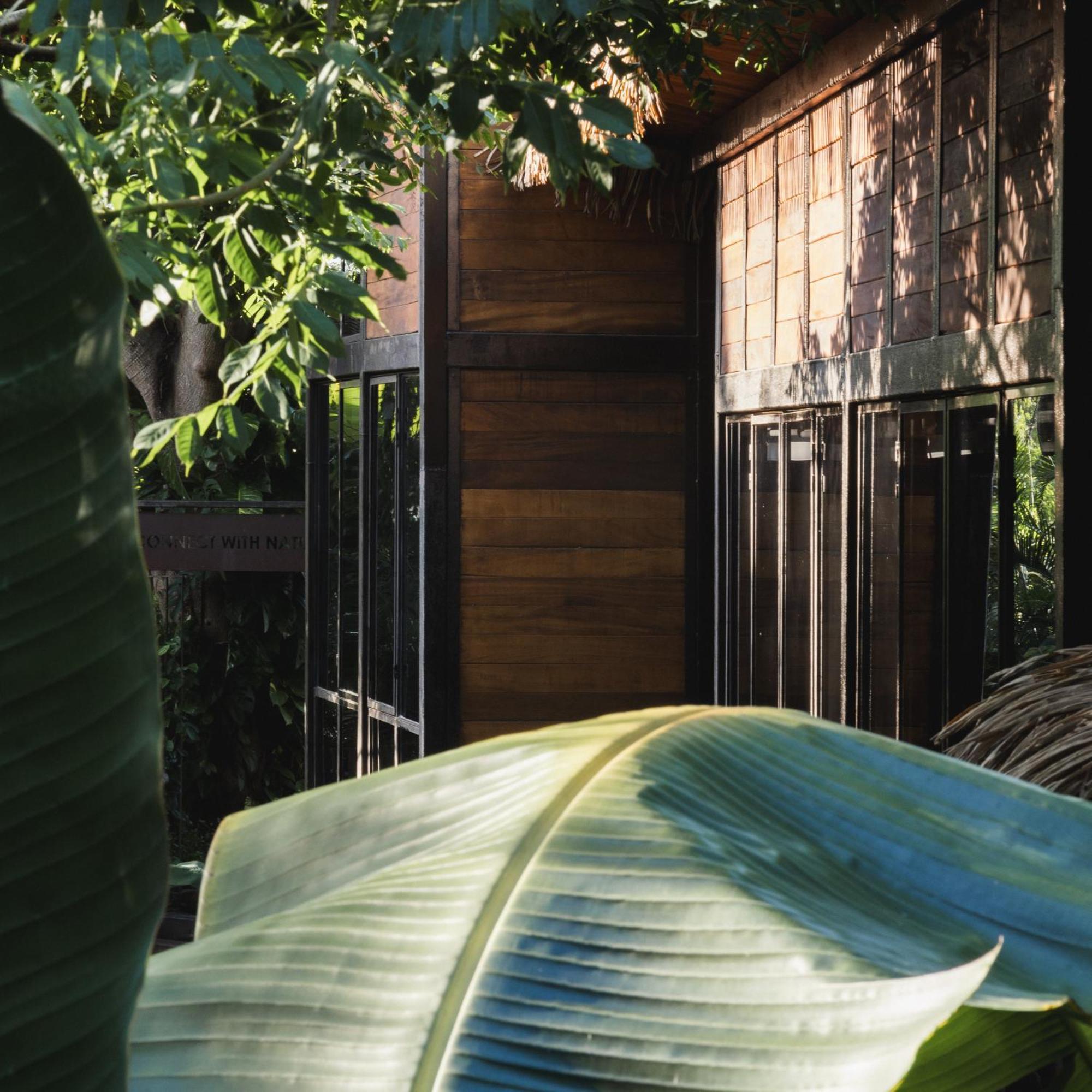 Casa Selva *