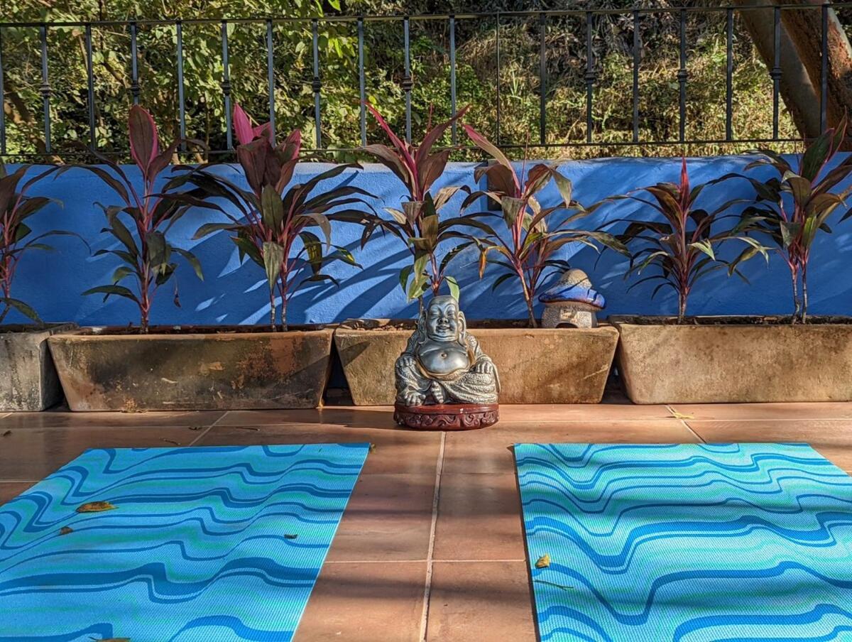 Spectacular 2br With Amazing Rooftop Patio And Ocean Views Sayulita