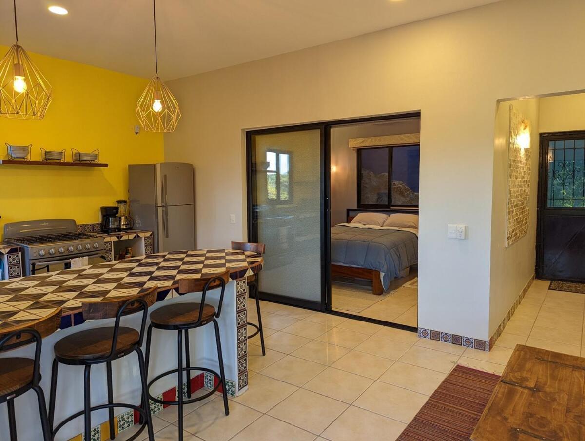 Spectacular 2br With Amazing Rooftop Patio And Ocean Views Sayulita